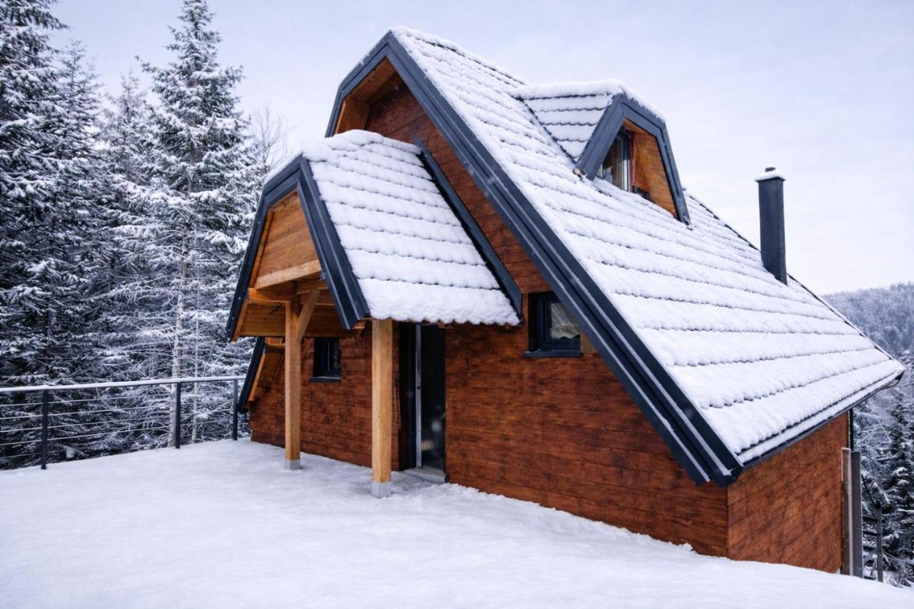 Vila Top Hill Vista pod snegom, okružena četinarima