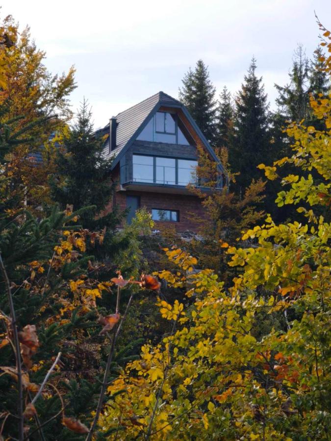 Vila u jesen, okružena šarenim lišćem